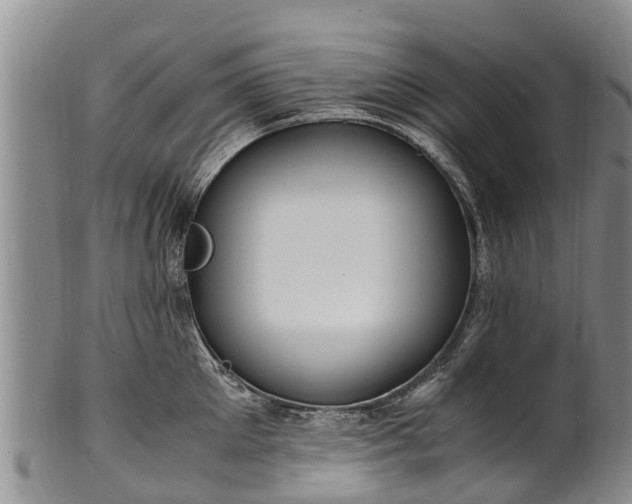 X0000102370905200808081150