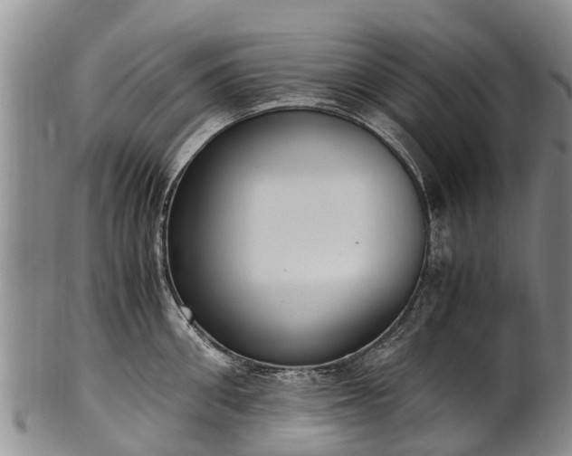 X0000102370906200808081150