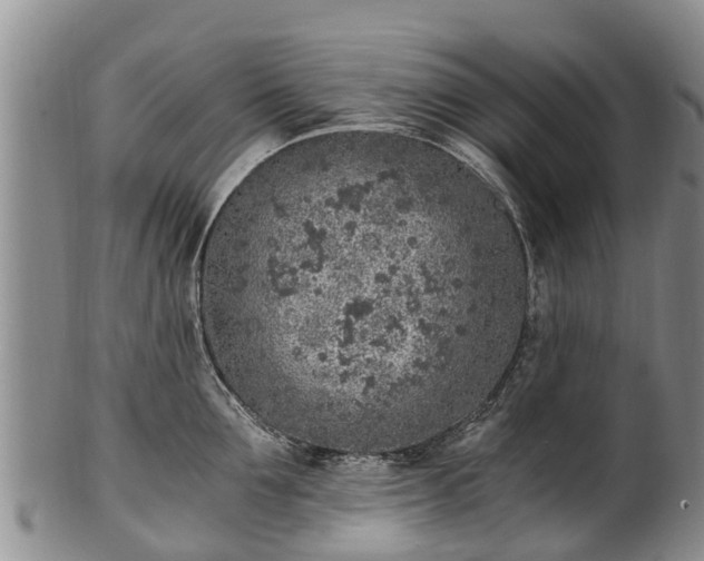 X0000102370907200808081150