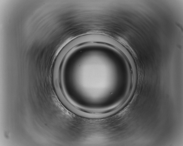 X0000102370908200808081150