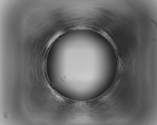 X0000102370909200808081150