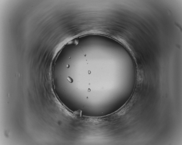 X0000102370910200808081150