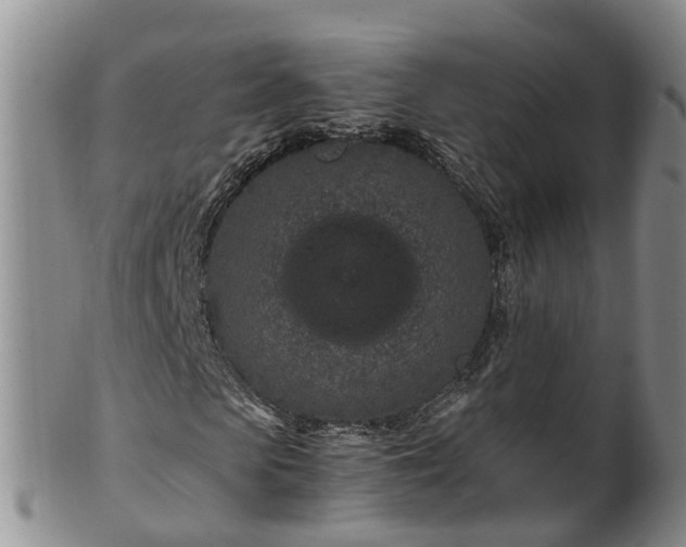 X0000102370913200808081149