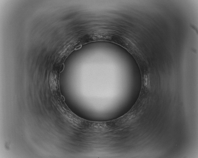 X0000102370915200808081149