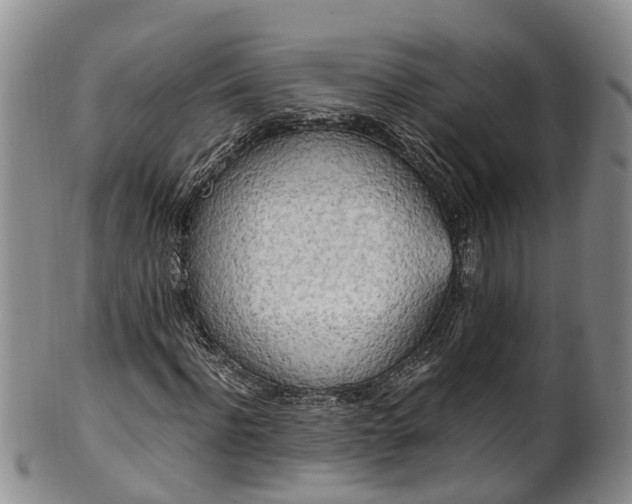 X0000102370916200808081149