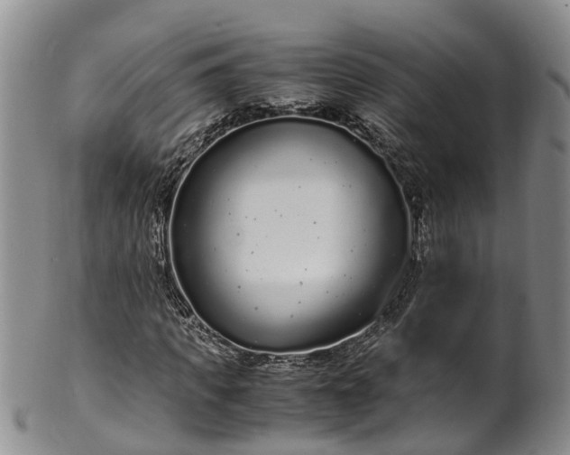 X0000102370917200808081149