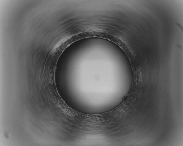 X0000102370919200808081149