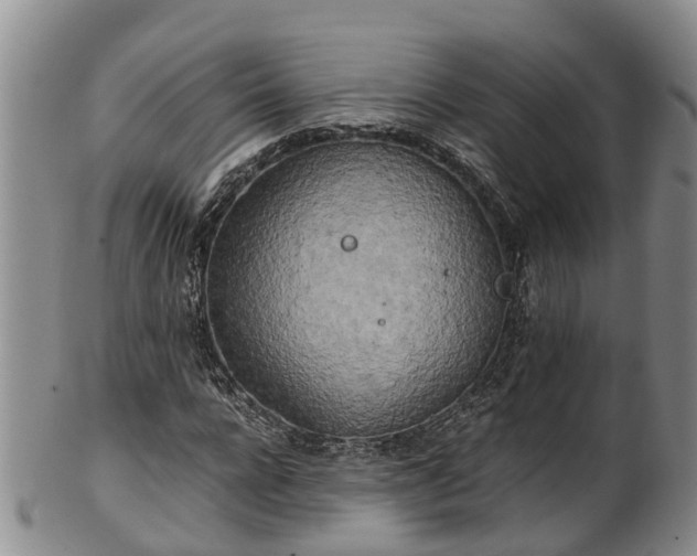 X0000102370920200808081149