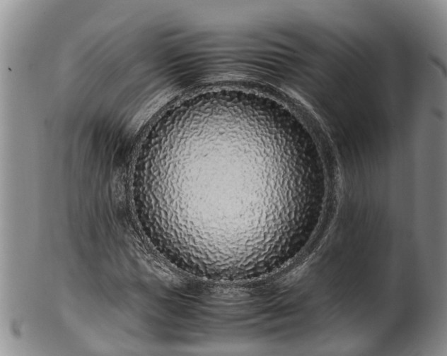 X0000102370921200808081149