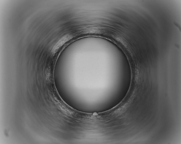 X0000102370922200808081149