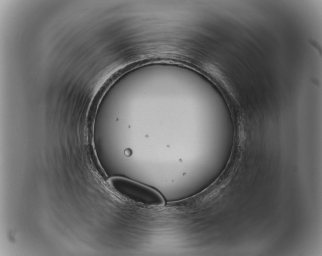 X0000102370924200808081149