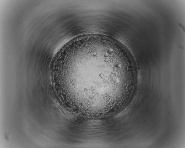 X0000102370925200808081149