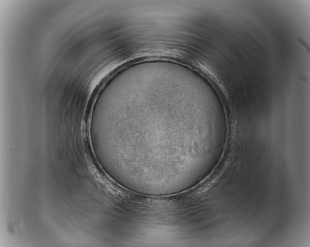 X0000102370928200808081149