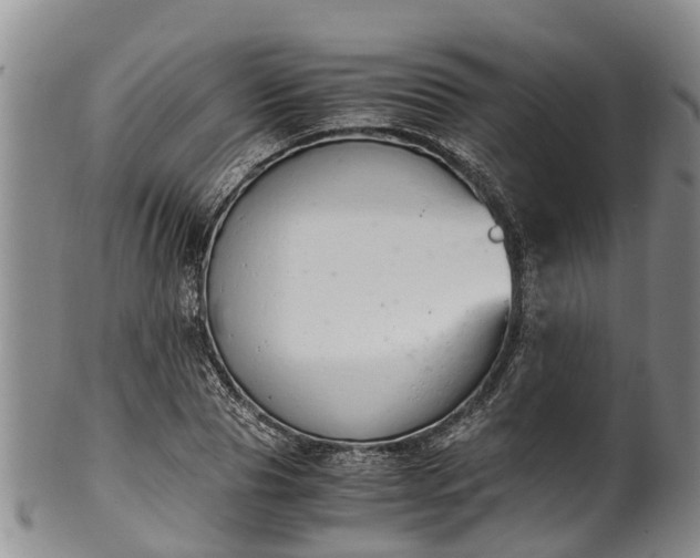 X0000102370929200808081149