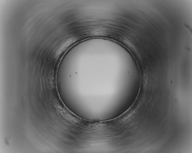 X0000102370930200808081149