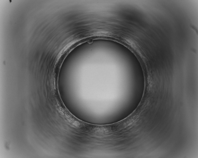 X0000102370931200808081149