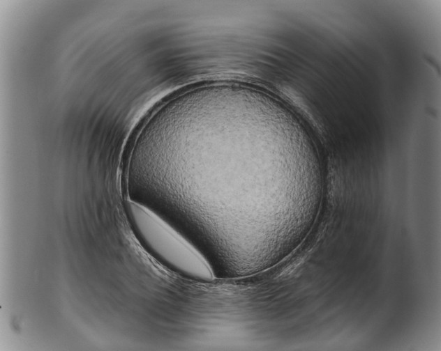 X0000102370932200808081149