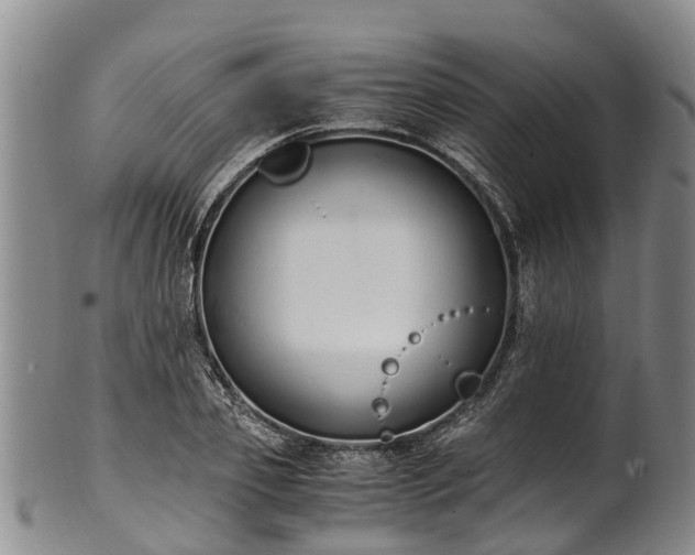 X0000102370933200808081149