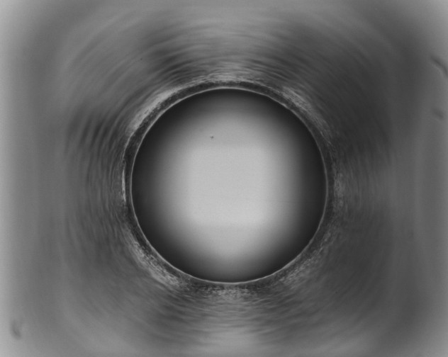 X0000102370934200808081149