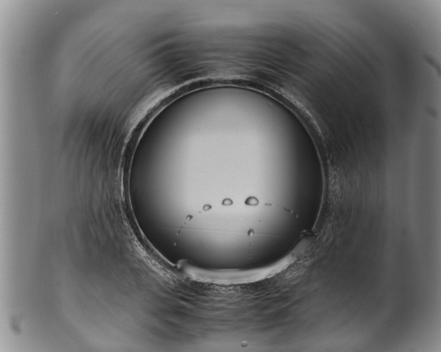 X0000102370935200808081149