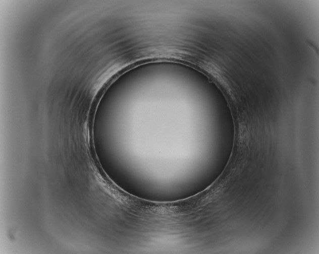 X0000102370936200808081149