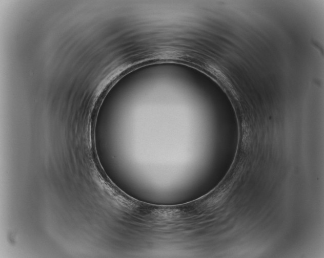 X0000102370939200808081149