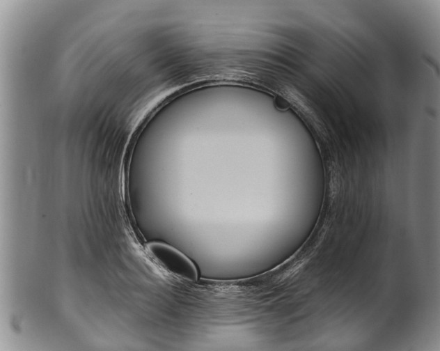 X0000102370940200808081149