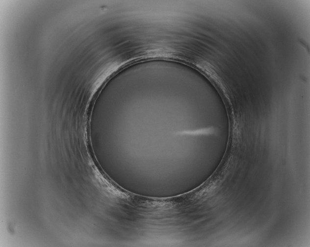 X0000102370941200808081149