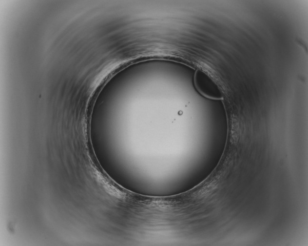 X0000102370942200808081149