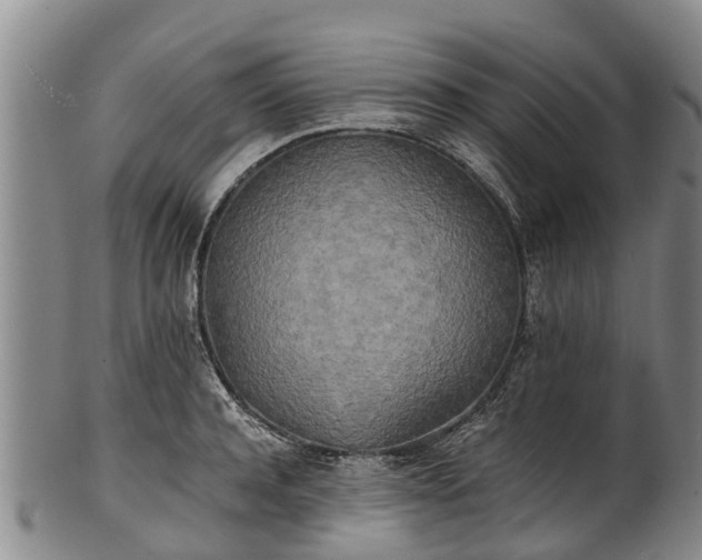 X0000102370944200808081149