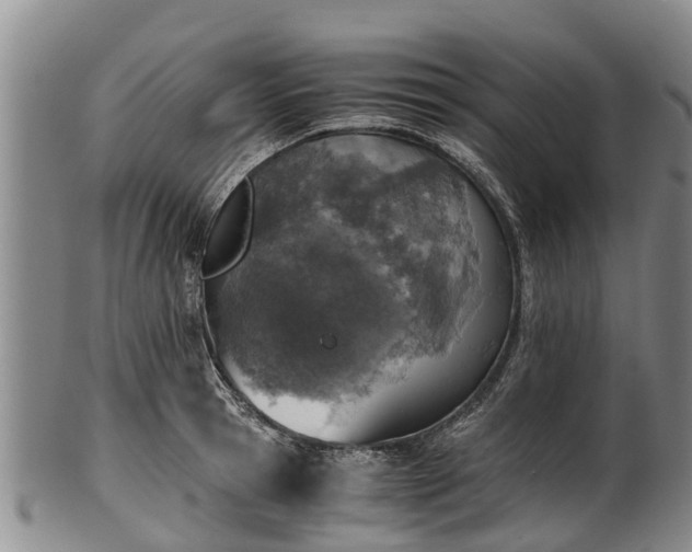 X0000102370945200808081149