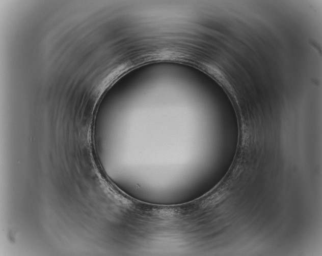 X0000102370946200808081149