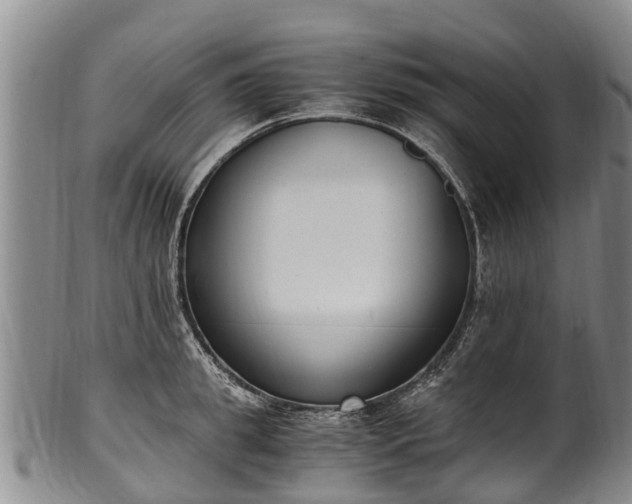 X0000102370949200808081149