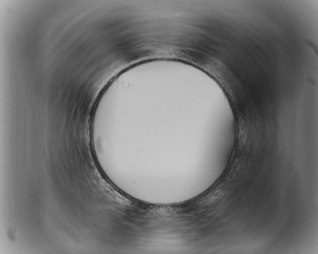 X0000102370950200808081149