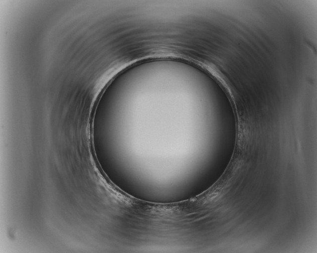 X0000102370951200808081149