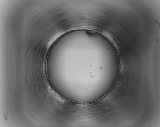 X0000102370952200808081149