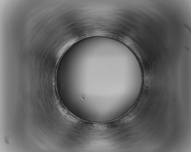 X0000102370954200808081149