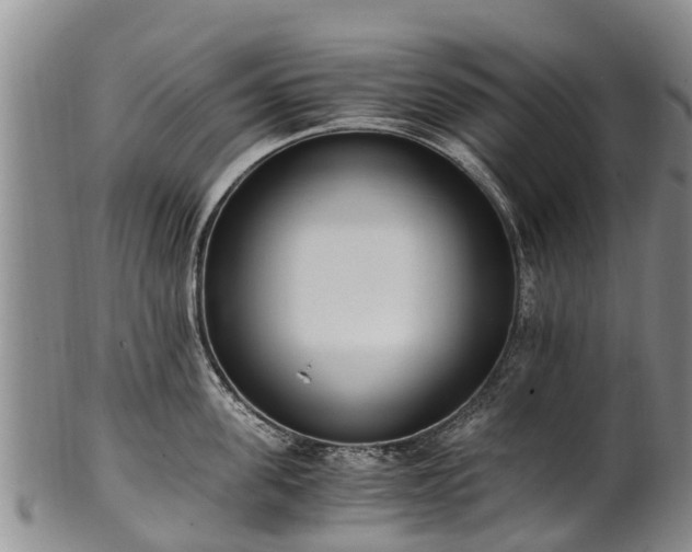 X0000102370955200808081149