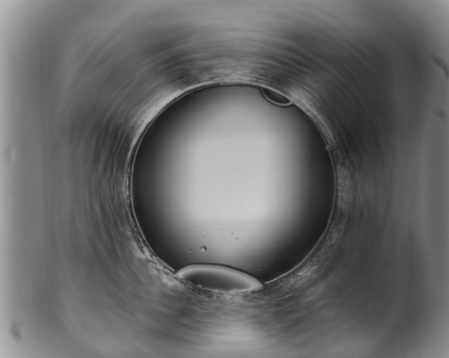 X0000102370956200808081149