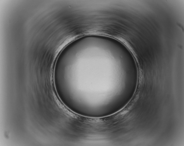 X0000102370957200808081149