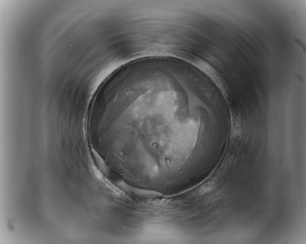 X0000102370958200808081149