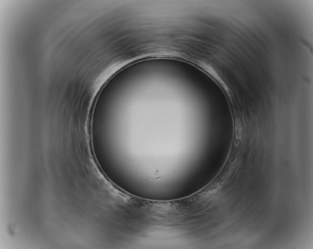 X0000102370959200808081149