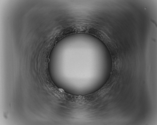 X0000102370961200808081149