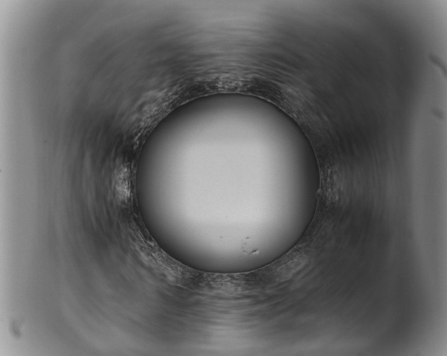 X0000102370962200808081149