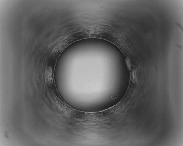 X0000102370963200808081149