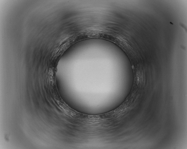 X0000102370964200808081149