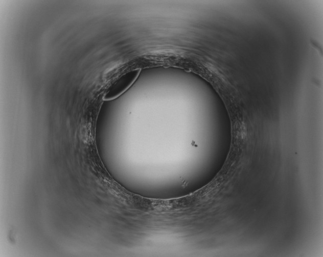 X0000102370965200808081149