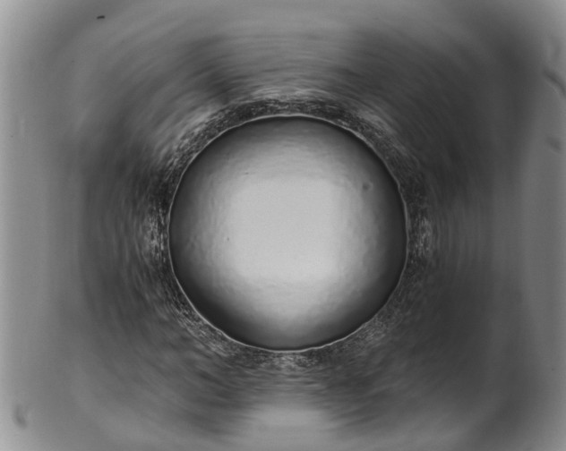 X0000102370966200808081149