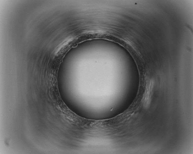 X0000102370967200808081149