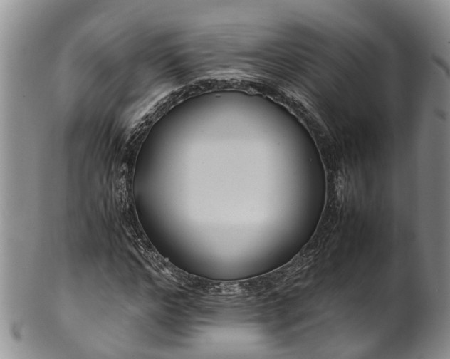 X0000102370968200808081149